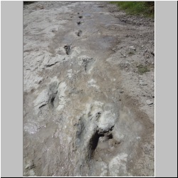 DSC00161 (2011-09-26).JPG